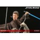 Star Wars Diorama Revenge of the Jedi (Anakin vs Tusken Raiders) 33 cm